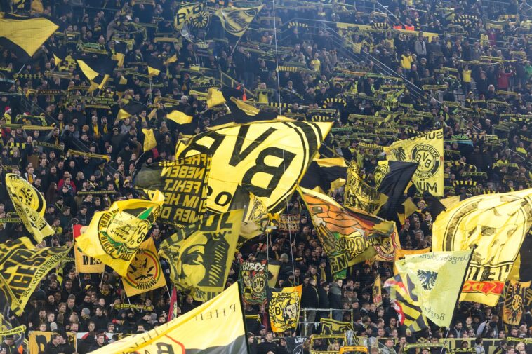 Borussia Dortmund, typy