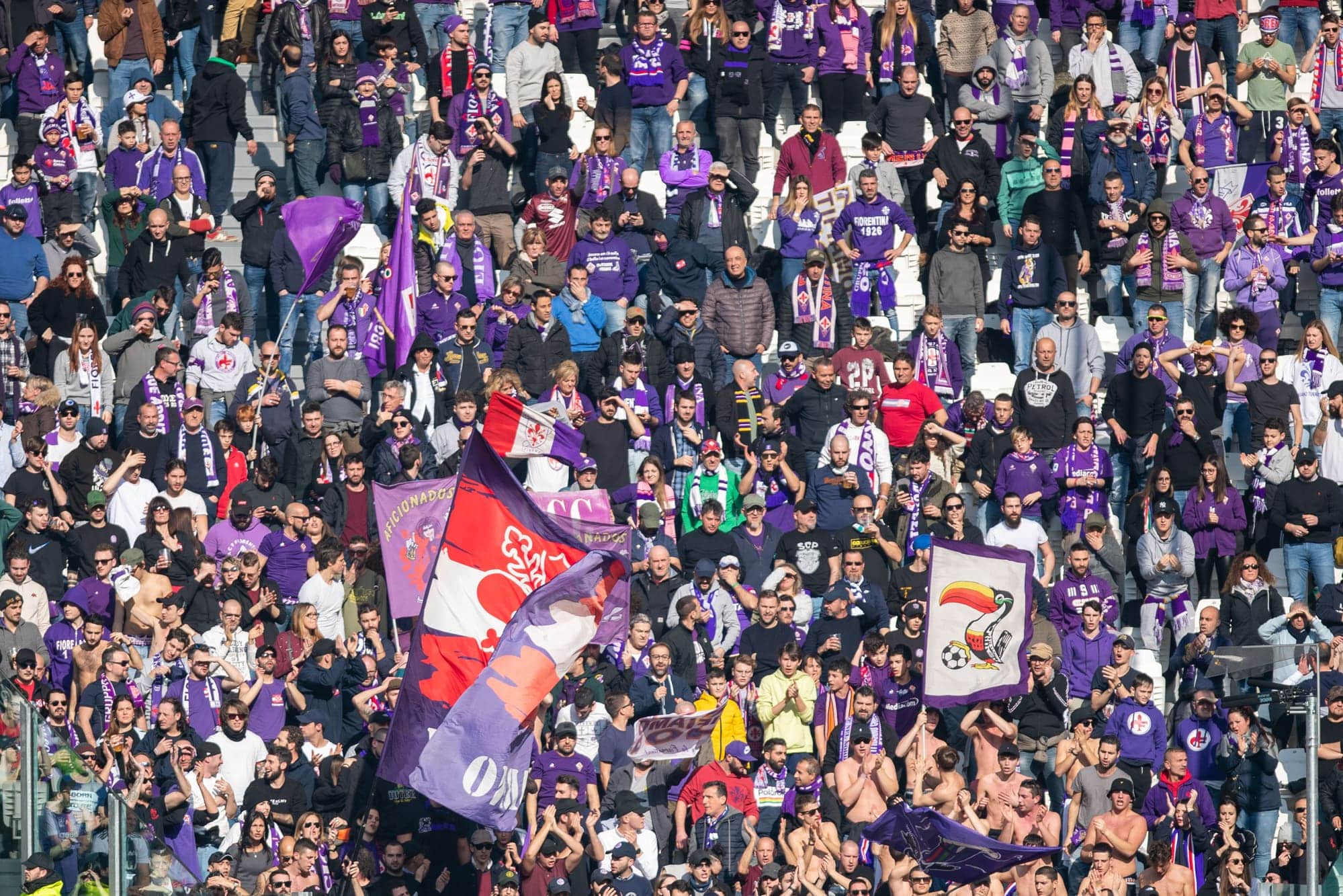 Fiorentina — stadion