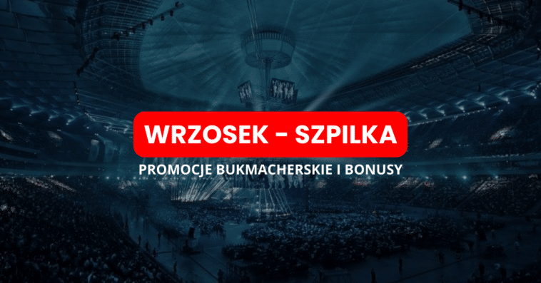Wrzosek - Szpilka promocje