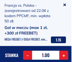 kurs 300 Francja Polska