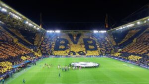 Borussia Dortmund, typy