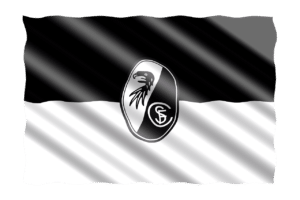 Freiburg – Kiel: typy, kursy, zakłady 11.01  | Bundesliga