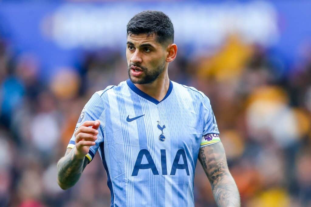 Tottenham, typy