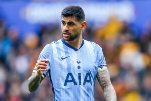 Tottenham, typy