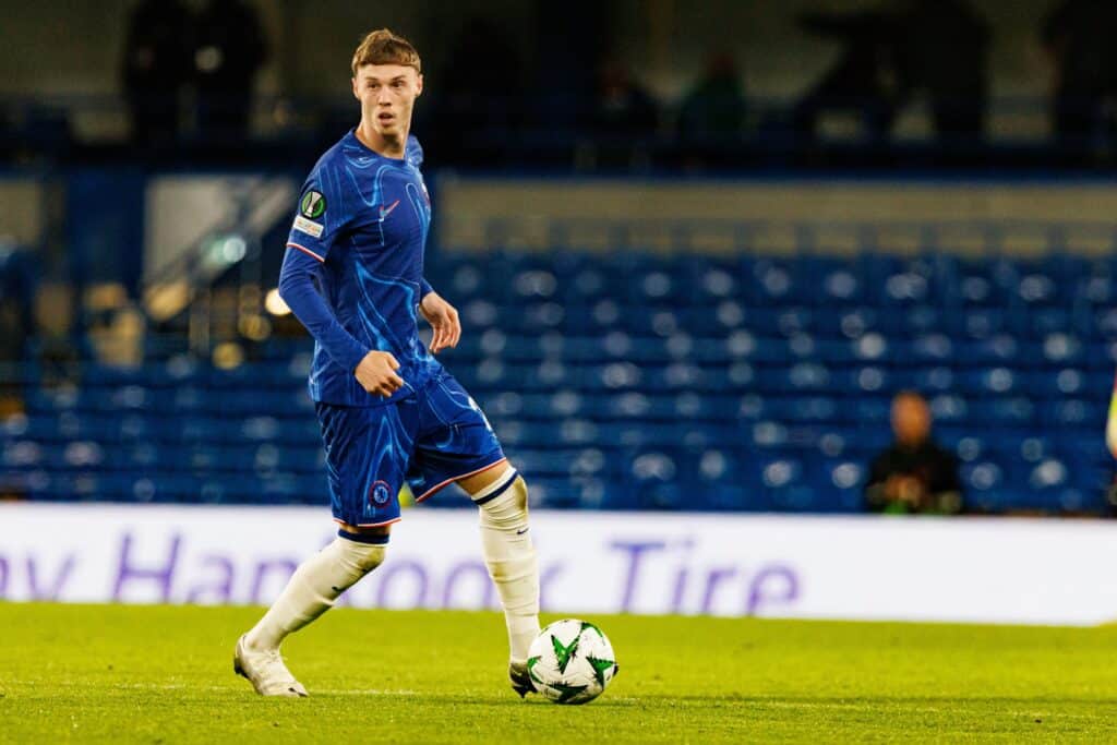 Chelsea, typy