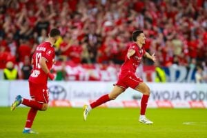 Widzew, typy