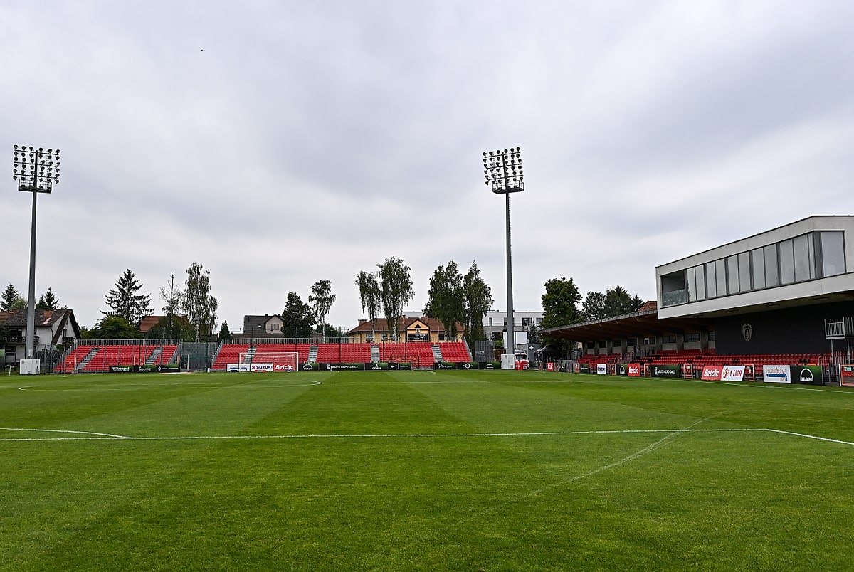 Puszcza Niepołomice — stadion