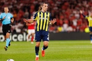 Fenerbahce, typy