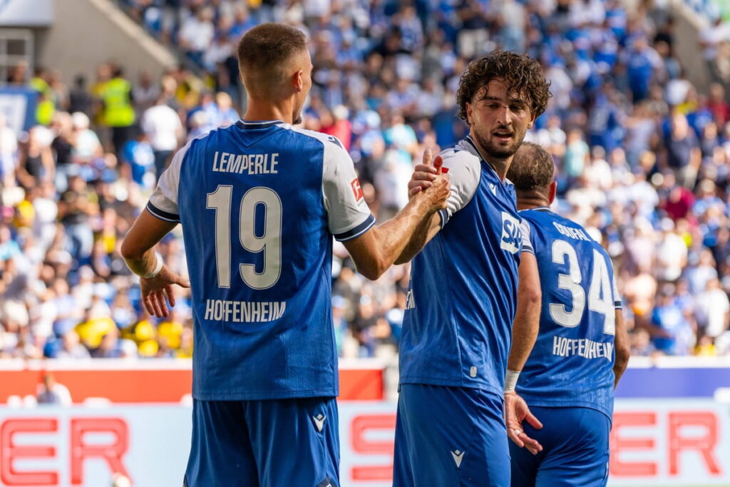 Hoffenheim, typy